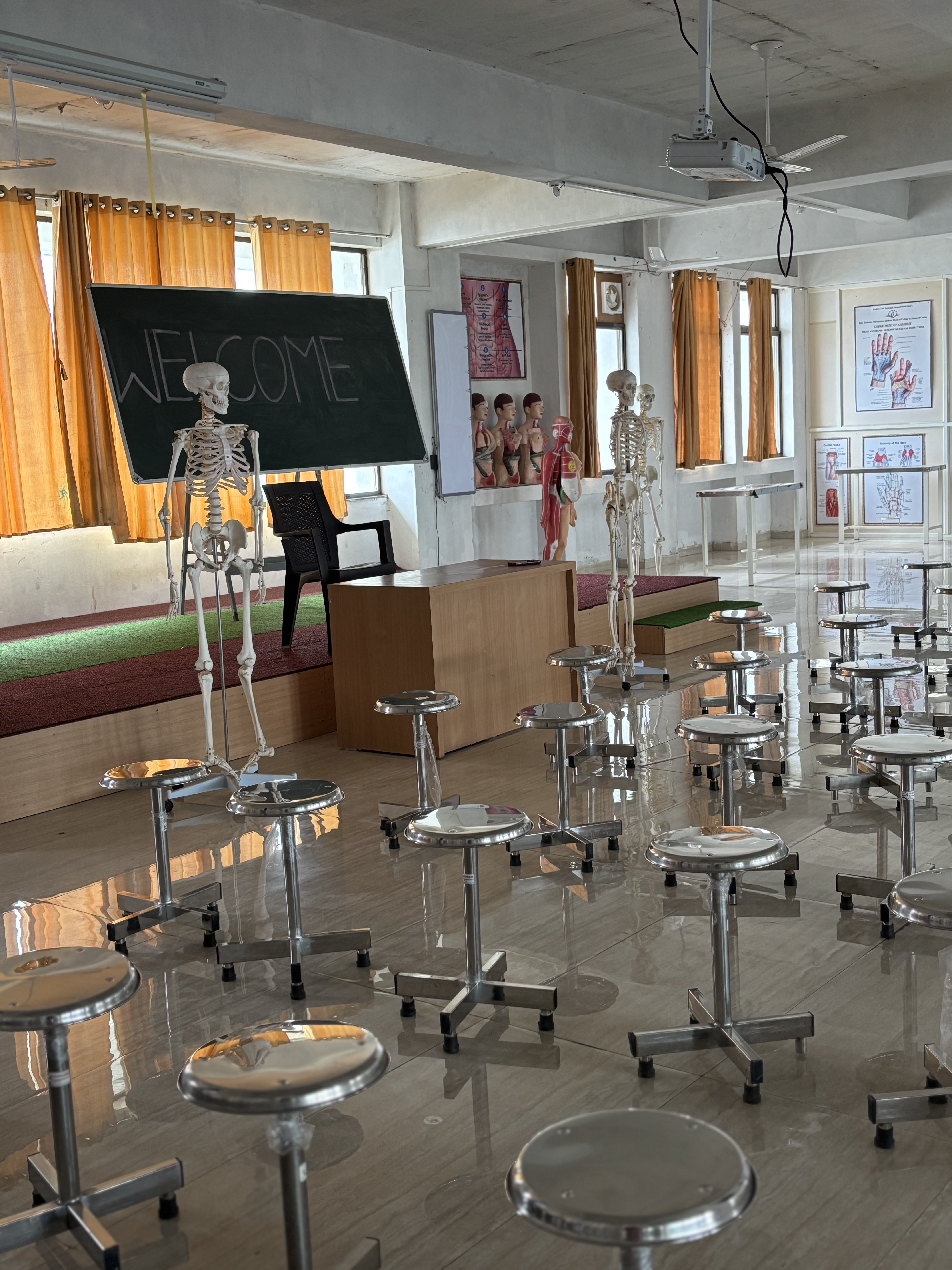 Anatomy Gallery