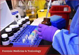 Forensic Medicine & Toxicology Department