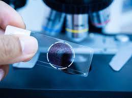 Pathology Department
